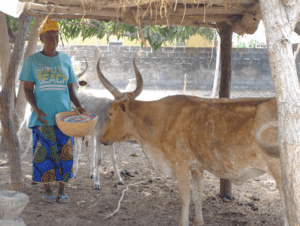 Closure of the THIELLAL project