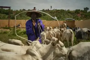 La malnutrition au cœur de l’approche « une seule santé »