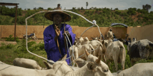 Seneya project launched in Sédhiou, Senegal
