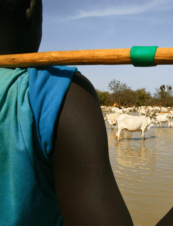 Solthis - Santé climat