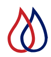 Novo Nordisk Haemophilia Foundation (NNHF) 
